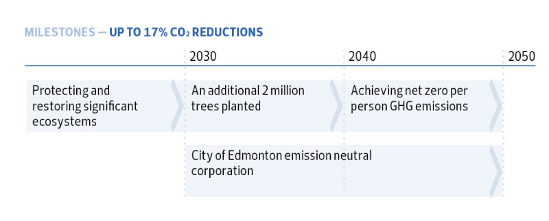 milestones for pathway 4