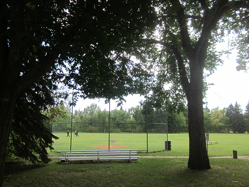 sports field