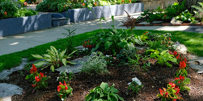 plants on boulevard