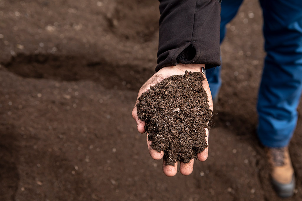 compost in hand